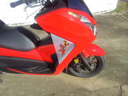 20140103_142639(s)CuteDragon