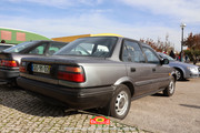 IMG-0247