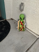 CDF99D2D-81C5-4DC9-BD79-1DD952FA2A47