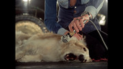 Image019