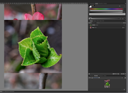 [Image: Capture-d-cran-2018-10-22-09-10-49.png]