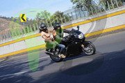 DSC-0731-(2)