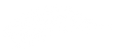 Winter-White-Elements-159