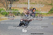 IMG-2599