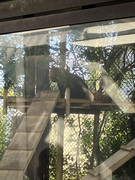 DA93391F-1D77-4F44-9FBE-7308356EDC1C