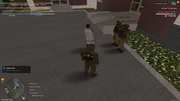 Grand-Theft-Auto-San-Andreas-Screenshot-2026-08-30-15-53-49-32