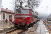 IMG-4696