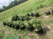 C603A6C8-77B1-470E-8CC0-3785D781B21F