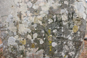 IMG-0398