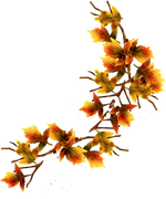 Halloweenpumpkitdnelves