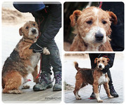 Be-Funky-collage-19.jpg&key=08e44b8c5694