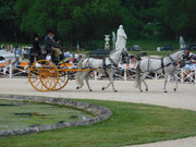 DSCN7406.jpg