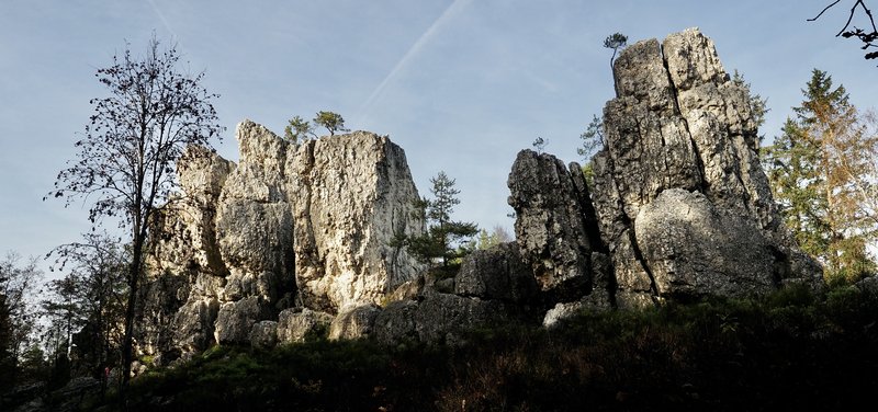 PA290840.jpg