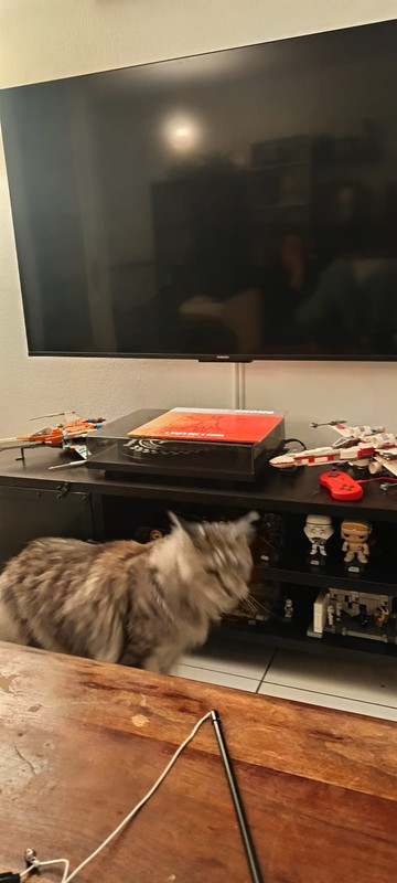 Whats App Image 2026 03 14 at 19 37 37 bis