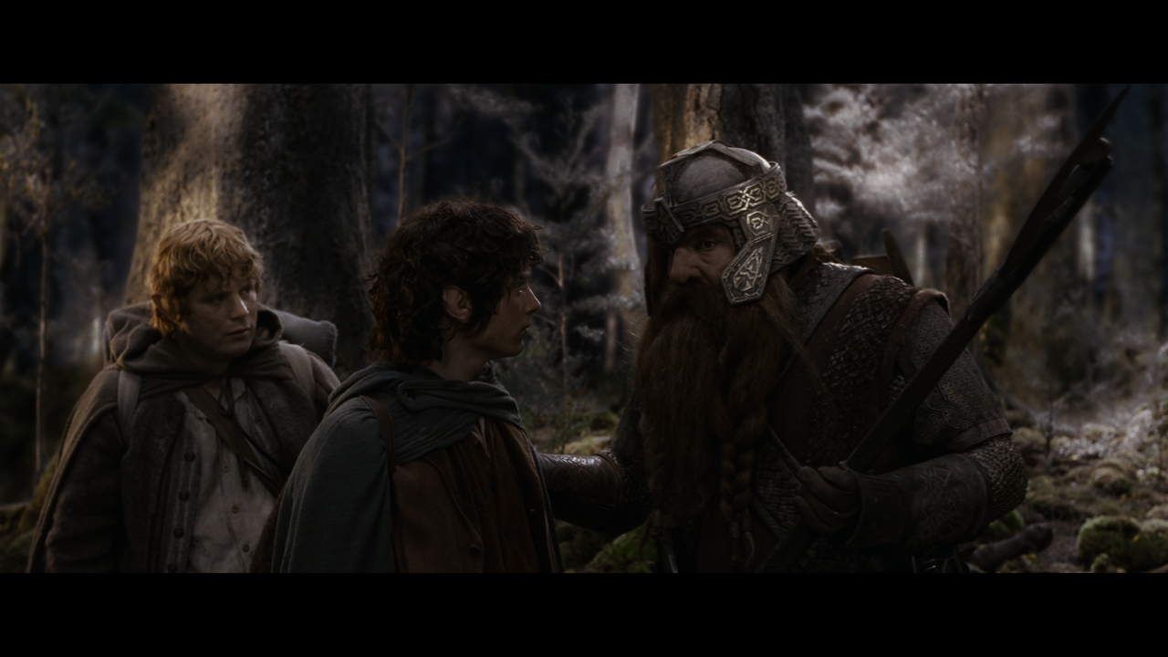 The Lord of the Rings- The Fellowship of the Ring (EXT.).mkv_snapshot_00.44.34_[2020.12.05_22.52.09]