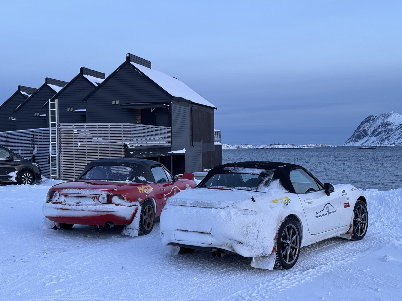 [Immagine: IMG-8477.jpg]