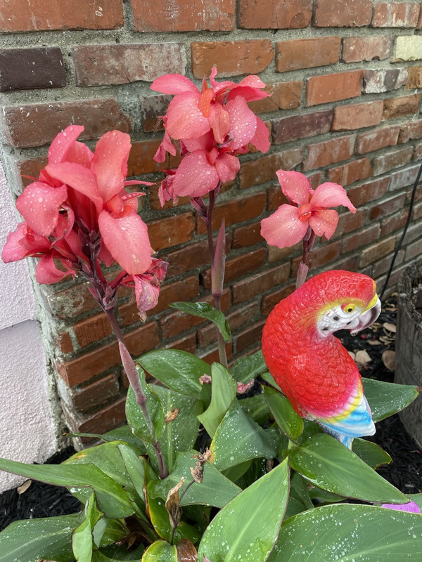 466-B8770-BA83-4557-8491-0-A08-FF095219-1-105-c