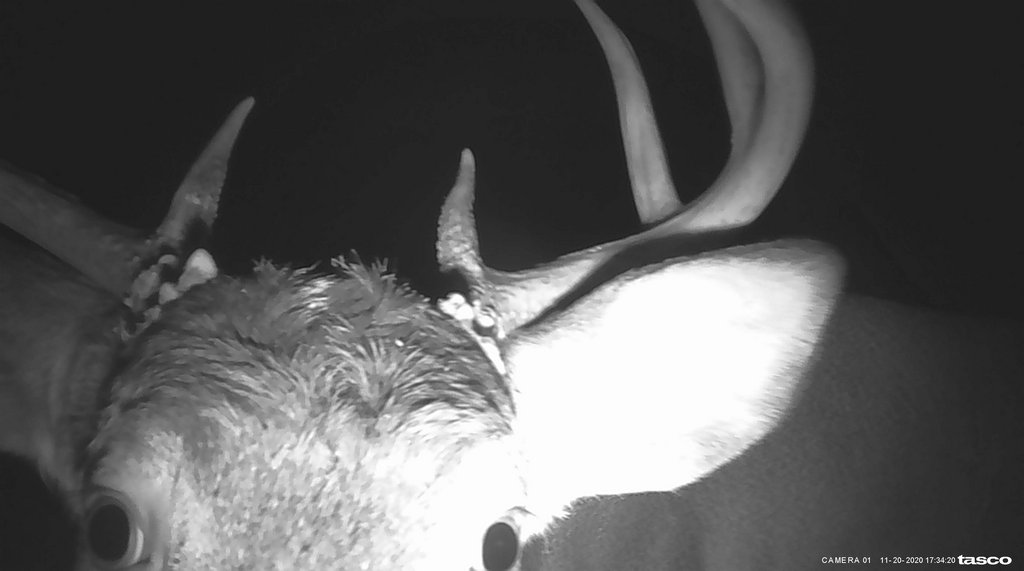 CFA38916-5AEA-4F4C-8564-E888BC9C3B83