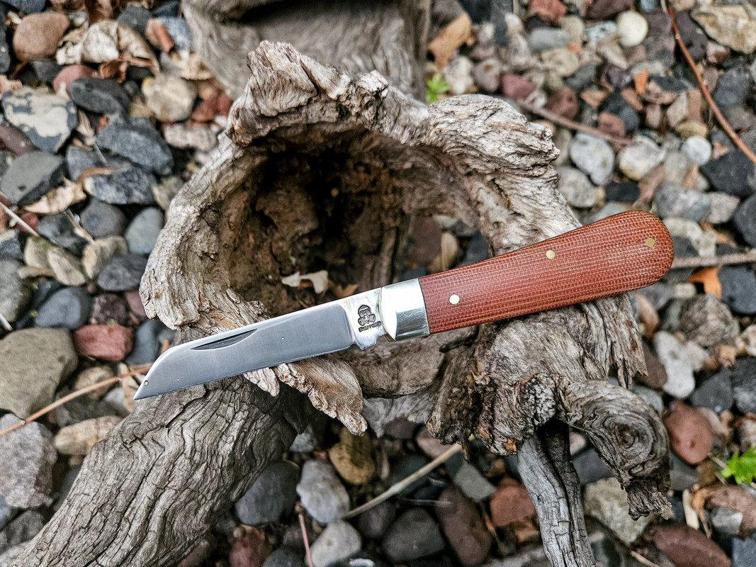 20250428_081700-EDIT (1)