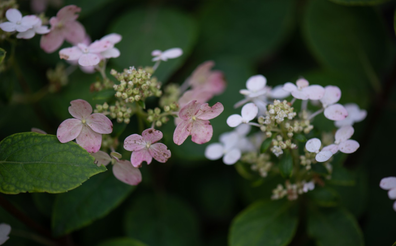 IMG-5f9eb439257731ffc6d3d18c781107b7-V