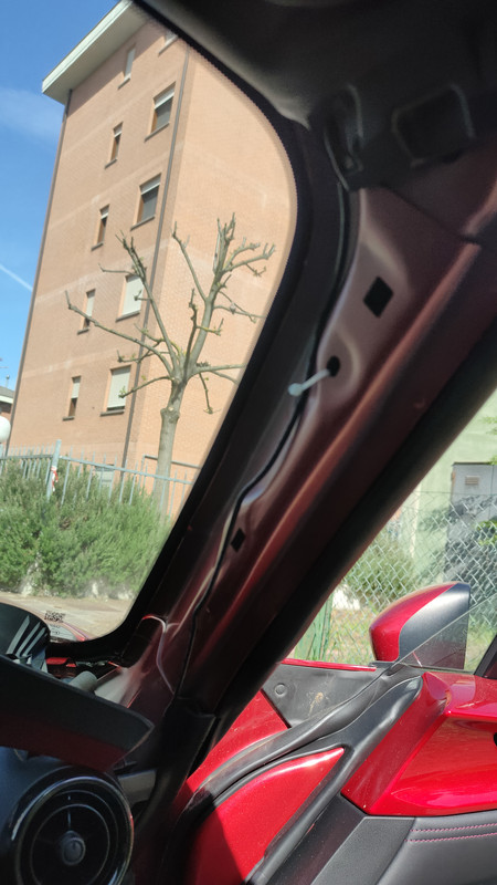 IMG_20250305_131545_612