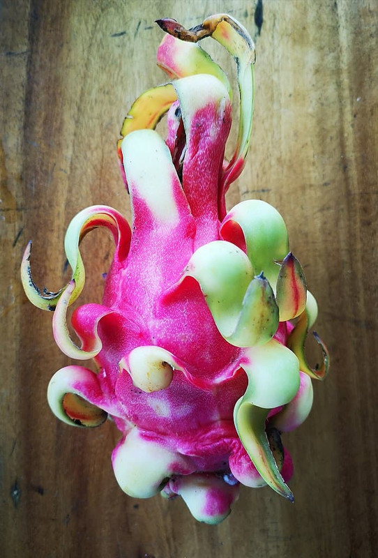 thai-dragon-fruit.jpg