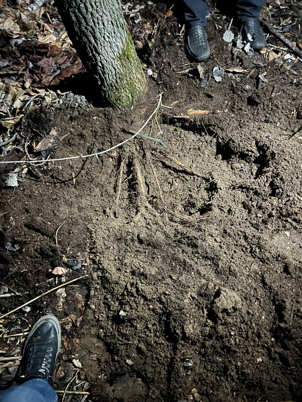 9C58FFCB-CE56-4B62-93F7-3F8DACBA1073