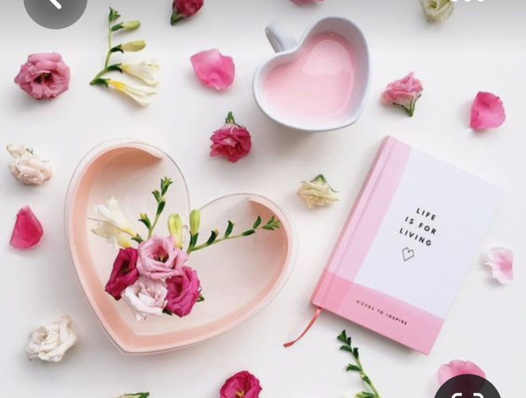 Screenshot_20230305_233922_Pinterest