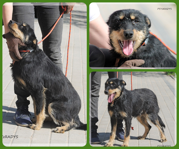 BeFunky-collage (15)