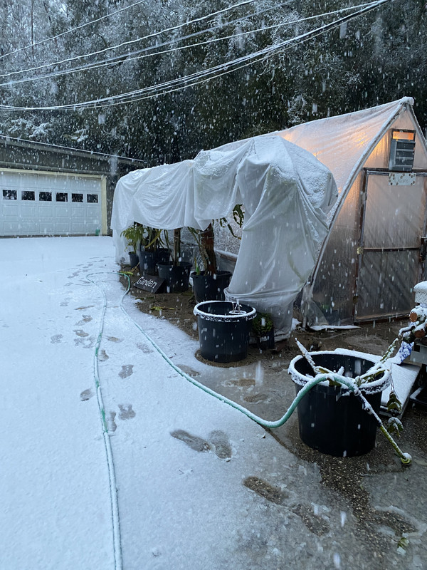 602A81B4-2ABF-4331-9D6E-DD7414A7E0DB