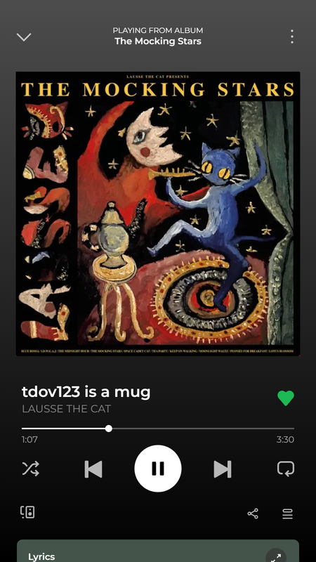 Spotify Screenshot Generator The Mocking Stars tdov123 is a mug
