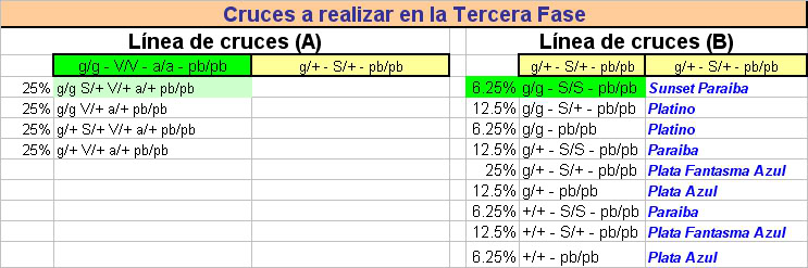 tercerafase-2.jpg