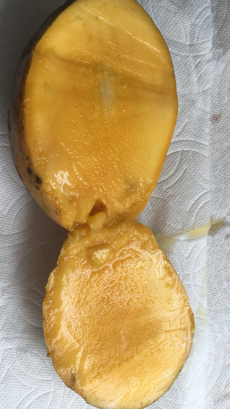 F9821B10-1963-49DE-9B3E-CEB659B701FF