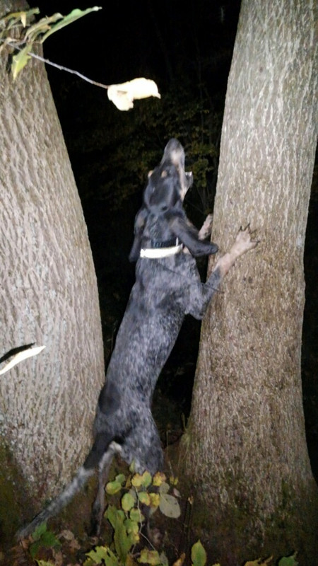 08A47F31-5687-49FE-BF0D-8F09AA5A29BE