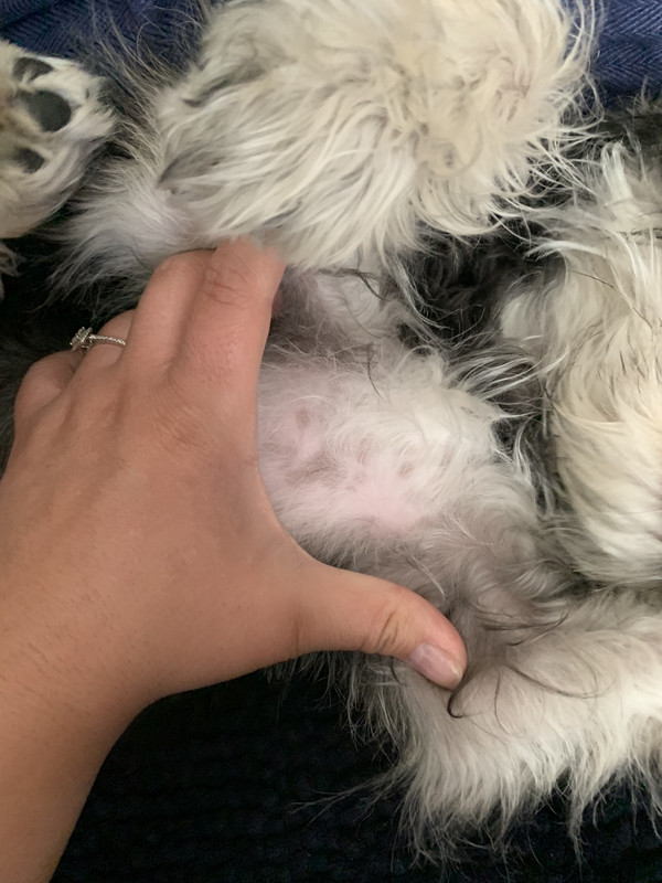 5C34F9AB-59CA-4C2F-9FA5-CD86965FF018