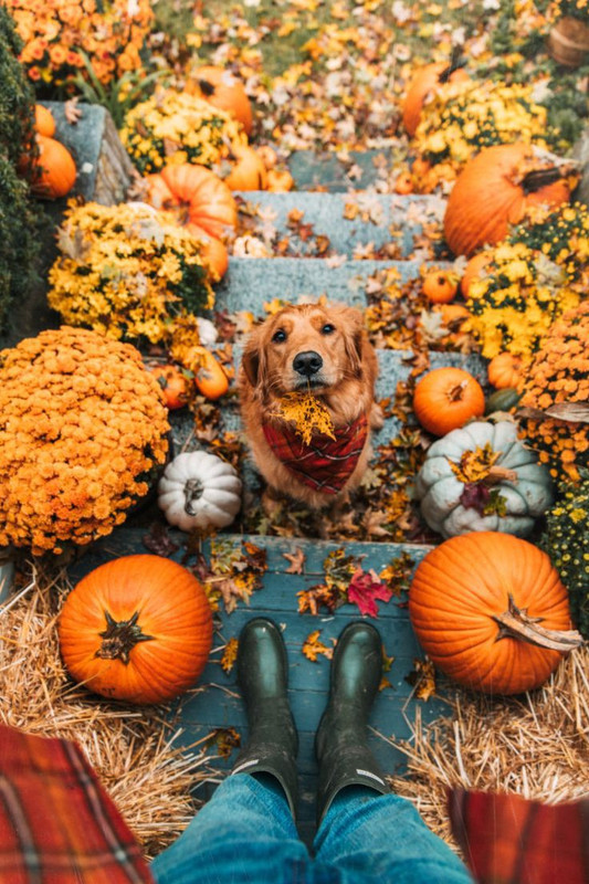 a1f84b47d3fad4efa26cf735b463924b