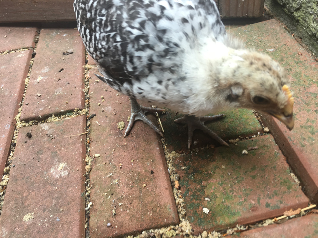 1ED0F67F-C40E-433D-83E8-82D86565F3EB