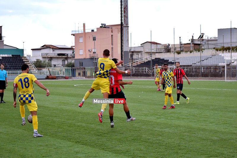 Thouria-DSC-0246