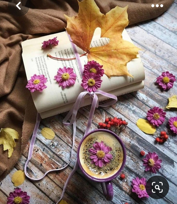 Screenshot_20230731_235529_Pinterest