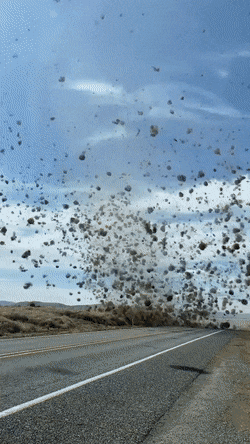 07251AE2-D52F-4B7B-A0F8-105B6D4114E7