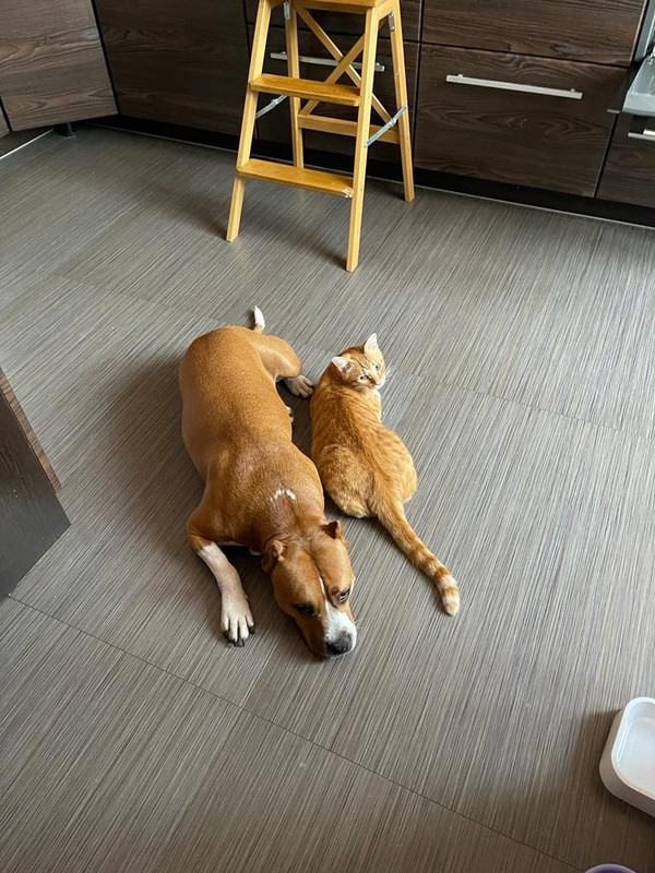 B207A4BA-24D8-4187-98EF-1962EDE94998