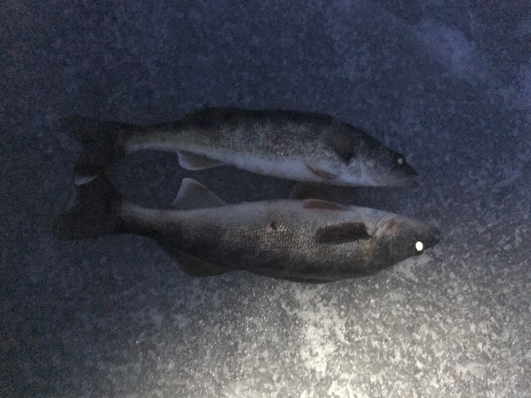 8E371FFE-580E-4E7D-A15D-2A63F216B24D