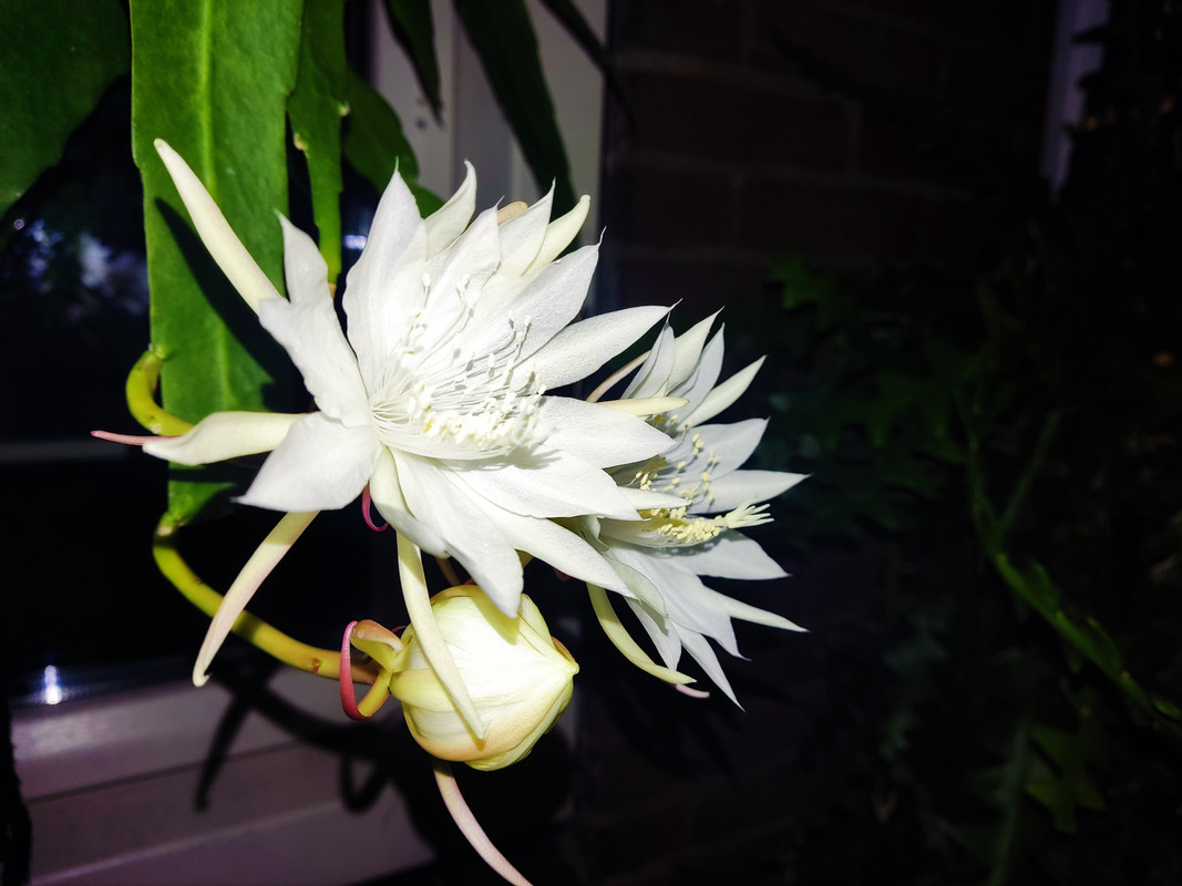 IMG_20220904_221528 (2)