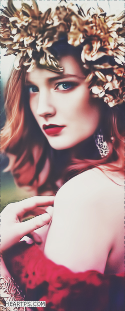 ���� ���� ������ �� ���� ������