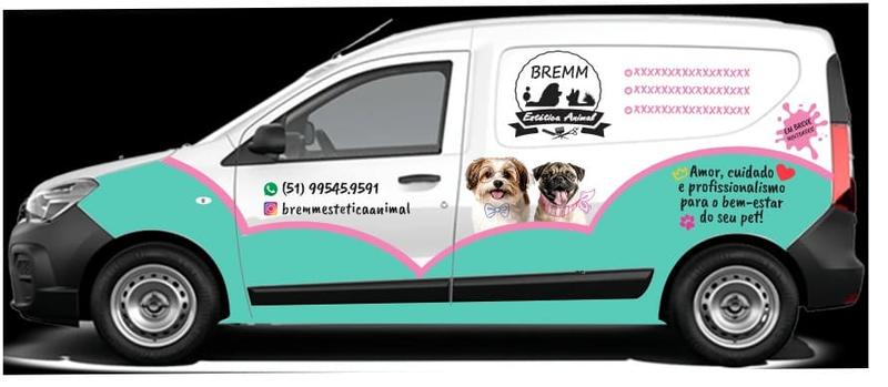 Van envelopada da Bremm — Táxi Pet