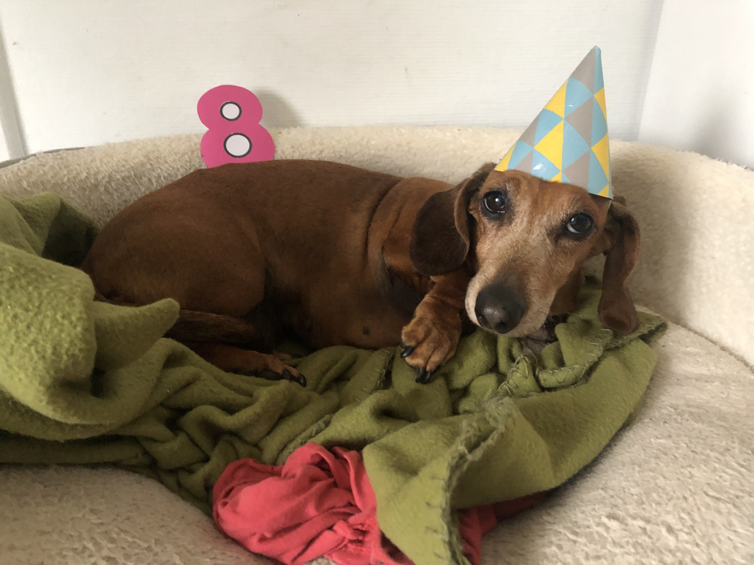 [Image: IMG-3439.jpg]