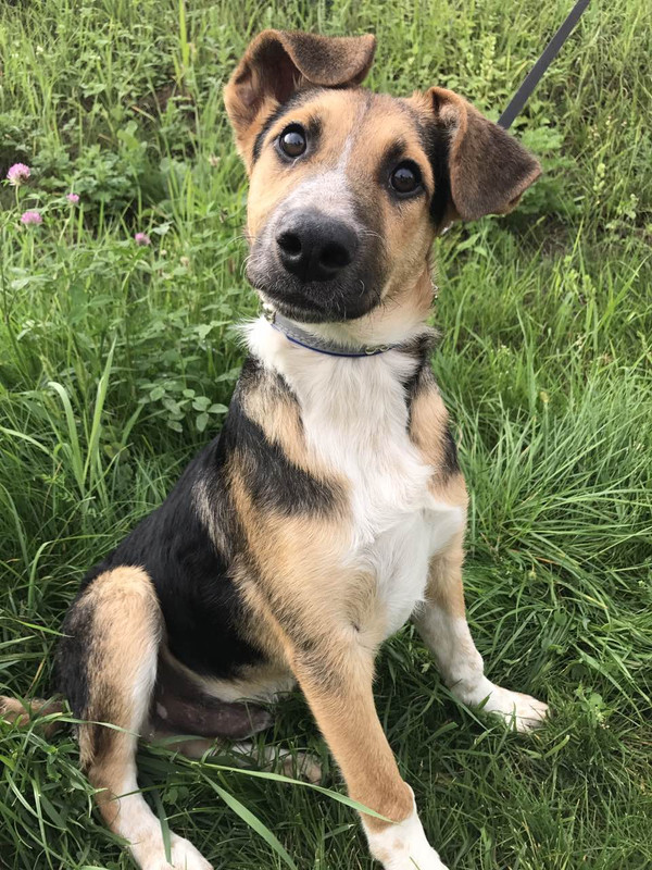 IMG-12c5237454be7ab4a87d0d7525d0cfdd-V