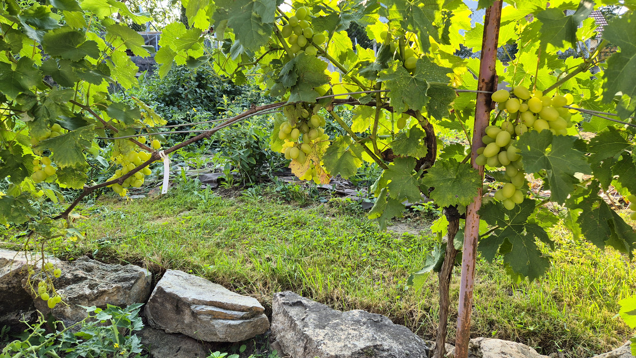 20250814_172403