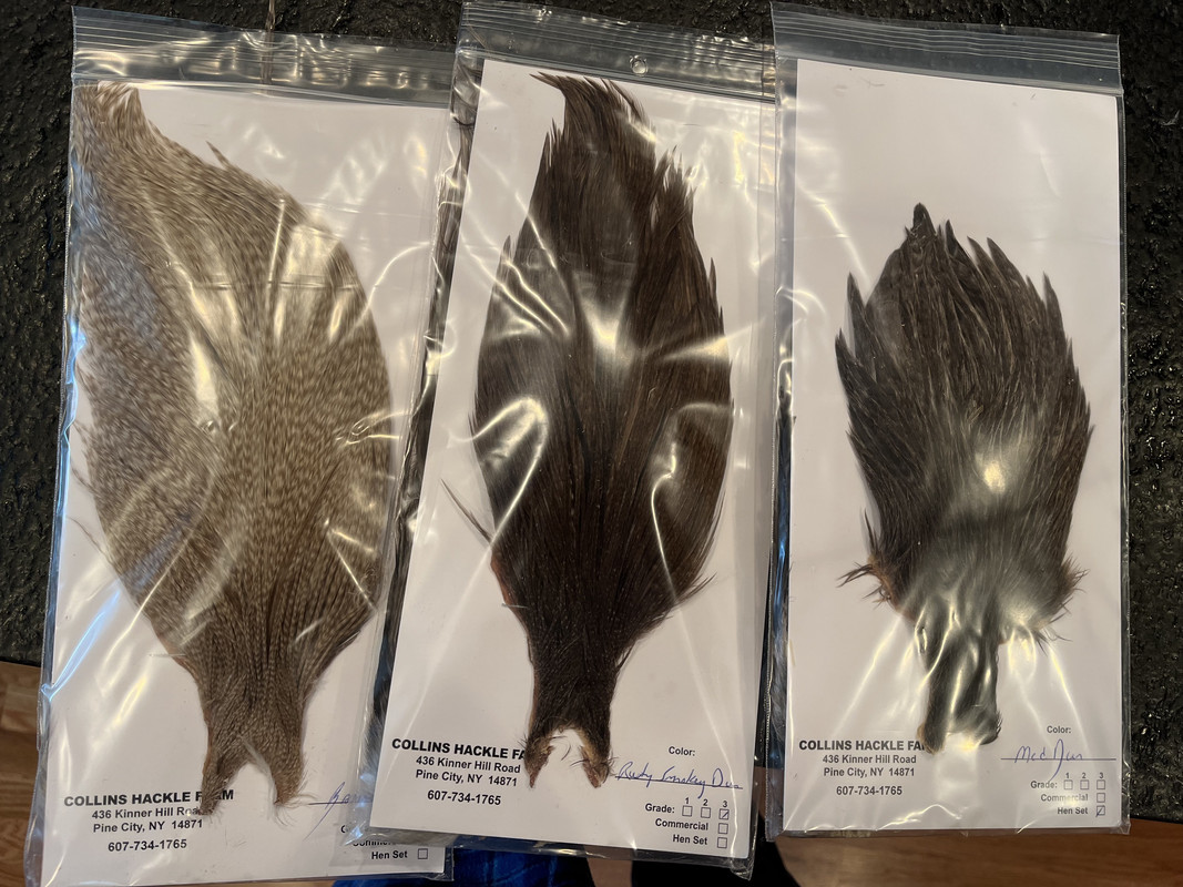 3879AC9E-8679-4C64-8A5A-63EE3271BEDA