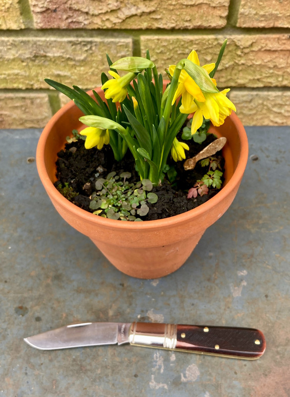 1064B692-1CEC-4E92-AD04-4DE1B5D9454C